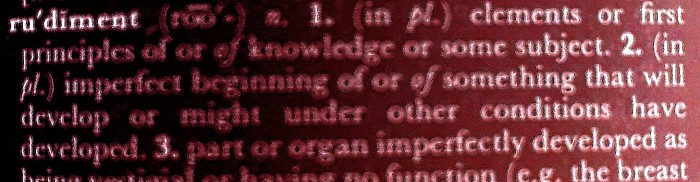 A development that will develop given da right atmosphere or circumstance's